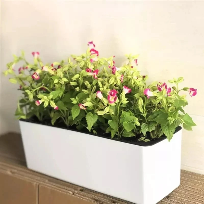 Automatic Plant Waterer - 직사각형 게으른 꽃 냄비 화분 수경
