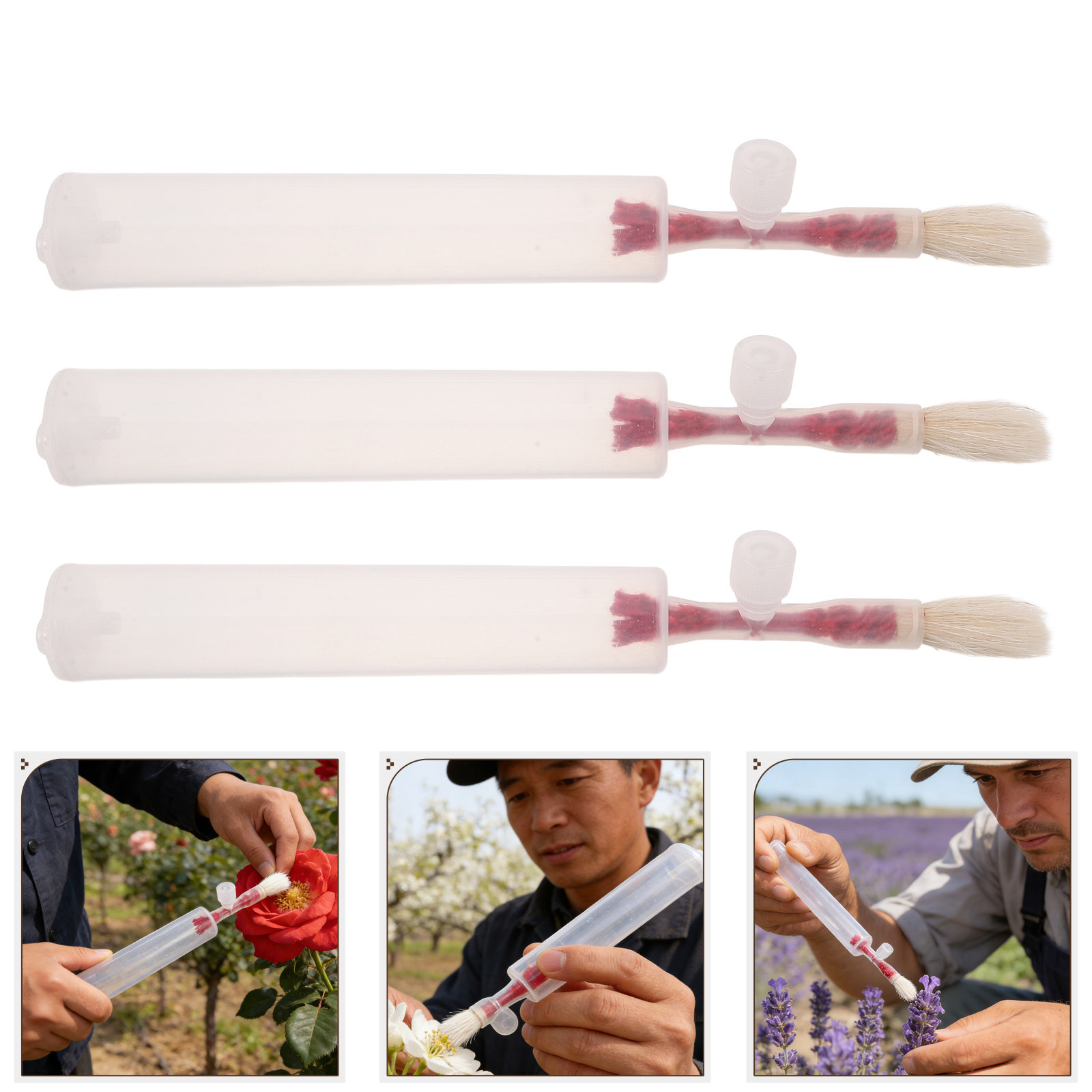 3개입 야채 수분기 스틱, 정밀 수동 수분 도구, 가정 - Gardening Tools Vegetables 리뷰 및 가격