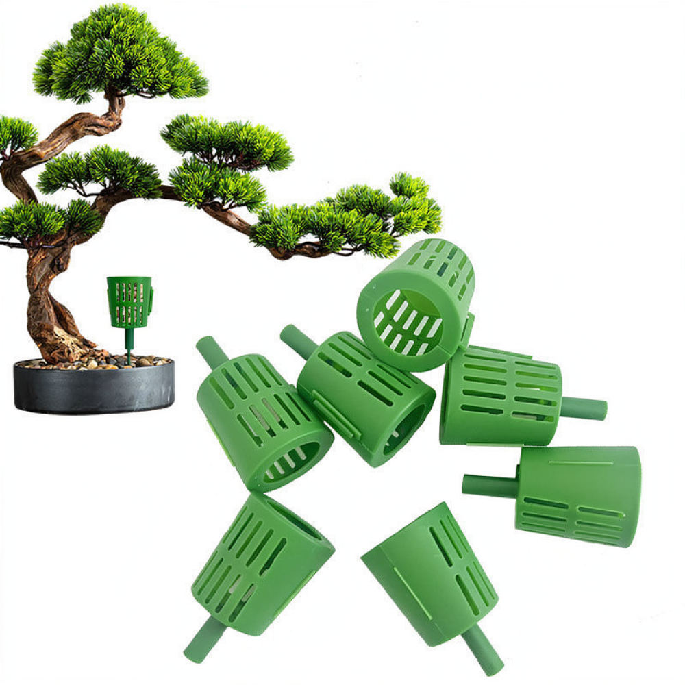 분갈이용 비료 상자, 분재 식물용, 정원 가꾸기용 영양 - Gardening Tools Essential 리뷰 및 가격